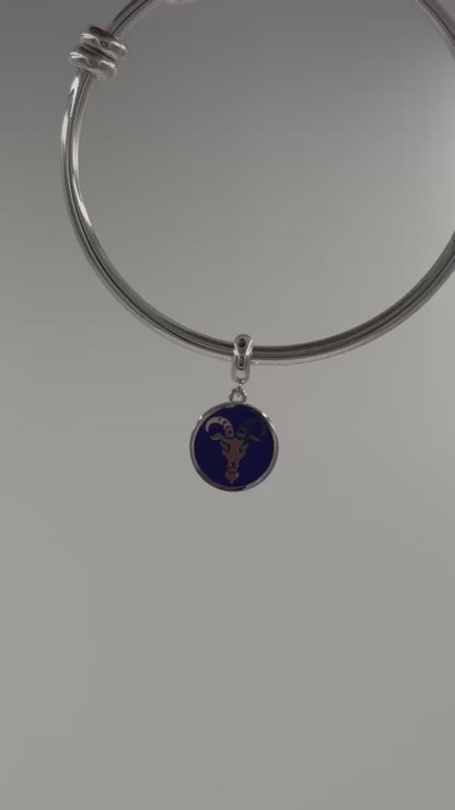 Capricorn Zodiac Sign Charm in 925 Silver – Enamel Pendant